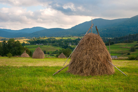 阳光明媚的字段在阳光明媚的日子草垛的字段.