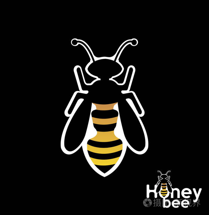 在黑色背景上的蜜蜂