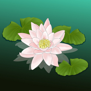 河,五颜六色的画,自然背景,卡片中生长的莲花用彩色花河看森林在河边