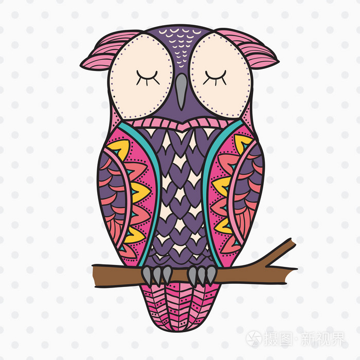 可爱的装饰观赏彩色猫头鹰插画-正版商用图片0dvnr2-摄图新视界