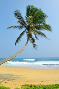 热带海滩