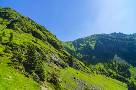 美丽的山景观在喀尔巴阡山