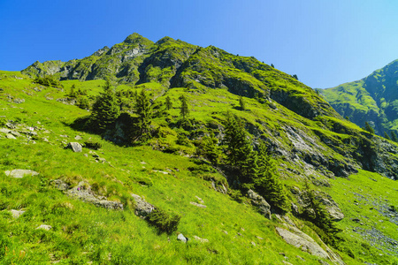 美丽的山景观在喀尔巴阡山