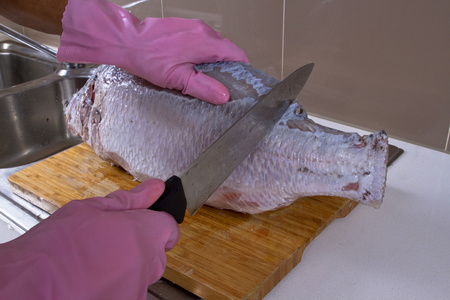 专家厨师切割和清洗干净的大鱼和卫生