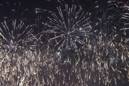 烟花在夜空上的假期