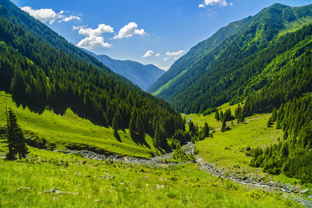 美丽的山景观在喀尔巴阡山