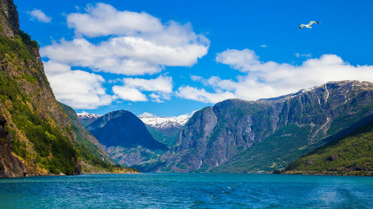 Sognefjord 全景