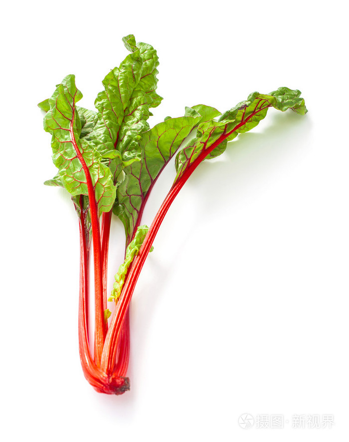 瑞士甜菜蔬菜孤立在白色背景上