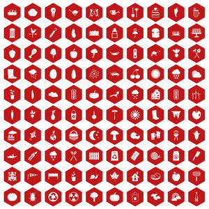 100 蔬菜图标六角红