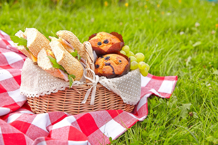 夏季野餐篮图片-夏季野餐篮素材-夏季野餐篮插画-摄图新视界