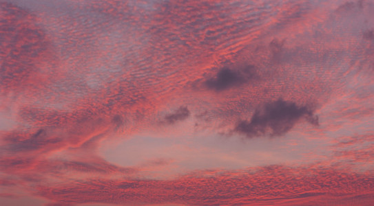 美丽的粉红色天空日落之后