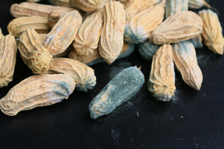 发霉的花生图片
