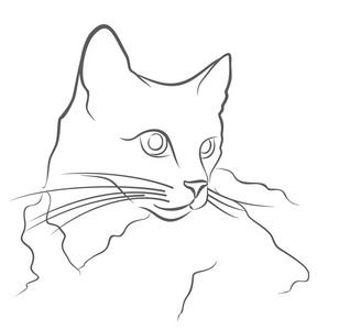 素描家猫