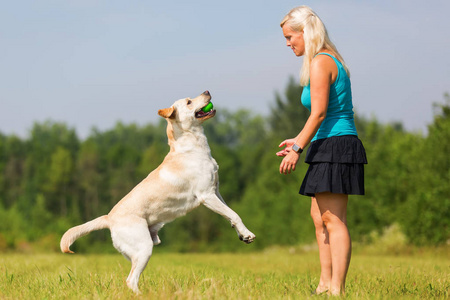 成熟的女人和一只拉布拉多犬在户外玩