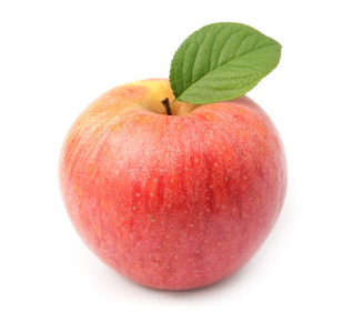 单一的新鲜苹果图片