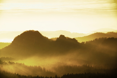 捷克萨克森瑞士美丽山的日出。尖山雾的背景，从增加雾是由于太阳光的橙色