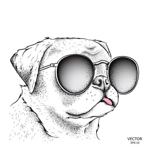 图像肖像狗领结，戴着眼镜。矢量图