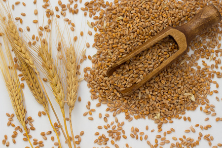 大麦颗粒颗粒的小麦,大麦枝照片