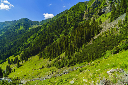 美丽的山景观在喀尔巴阡山