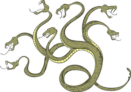 动漫中蛇九头蛇神话中的动物照片