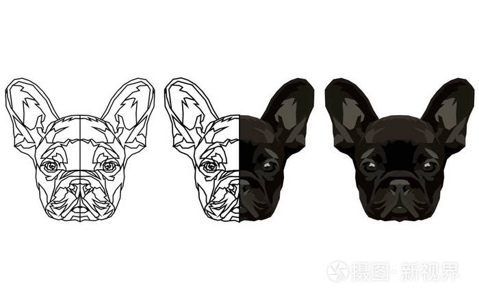 法国斗牛犬矢量图