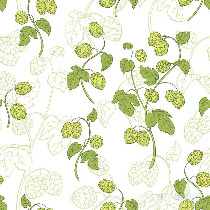 啤酒花植物图形颜色素描无缝模式图矢量