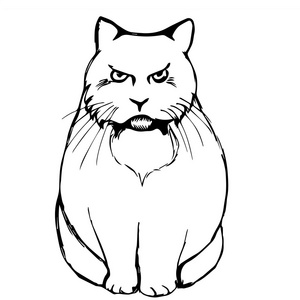 小猫生气枪口图片-小猫生气枪口素材-小猫生气枪口插画-摄图新视界