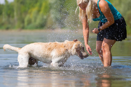 成熟的女人玩弄在湖中的一只拉布拉多犬