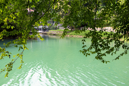 通过树池里的蓝色水的照片图片