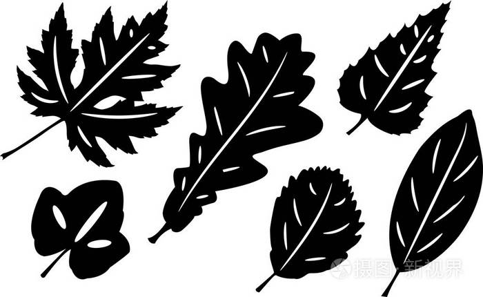 组的树叶的轮廓.上白孤立.矢量图插画-正版商用图片0dyz63-摄图新视界