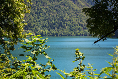 树林中的高山湖泊的照片