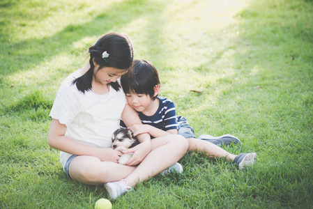 亚洲的孩子们，西伯利亚哈士奇犬小狗在公园里玩