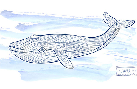 遮盖纹身图案鱼图片