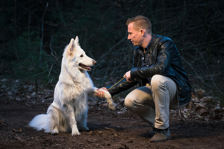 一只狗在公园里,晚上的男人照片