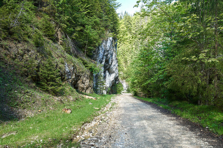 山碎石路