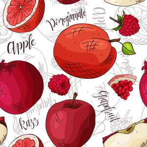 矢量与水果无缝模式。苹果和瑞兹和石榴和葡萄柚的背景。手工绘制的元素