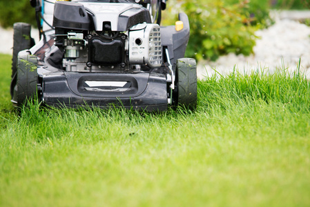 在花园里的草坪割草机照片