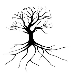 与根移植云杉栎彩虹的尽头旧红砖壁与树根包围人类被创造为树的延续