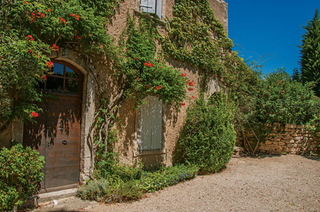 典型的石房子，面对一个院子，晴朗的蓝天底下与花在 Menerbes 村的视图