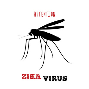 Zika 病毒。注意 zika。蚊子的图标。媒介昆虫