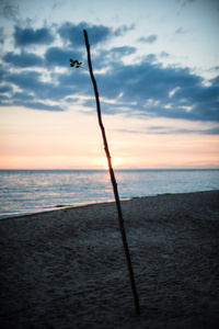 沙滩上的戏剧性夕阳红图片