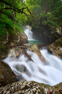 苏尼克水赫斯特，Triglav 国家公园