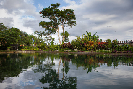 在巴厘岛泉水纵身寺树湖