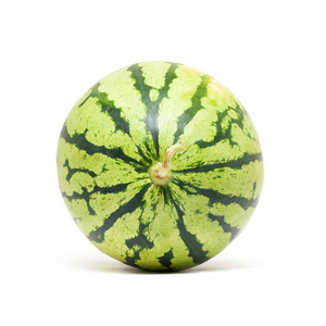 孤立的白色背景上的整个西瓜照片