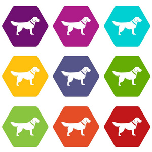 狗图标设置颜色六面体