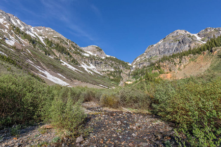 夏季山风景