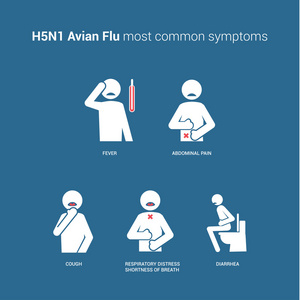 H5n1 型禽流感症状