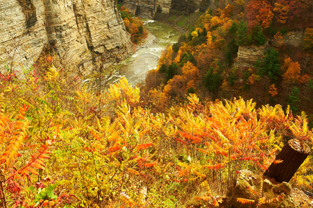 秋天的瀑布和峡谷景象图片