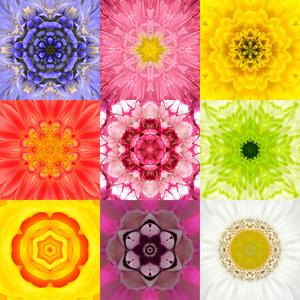 集合设置九朵曼荼罗各种颜色的万花筒