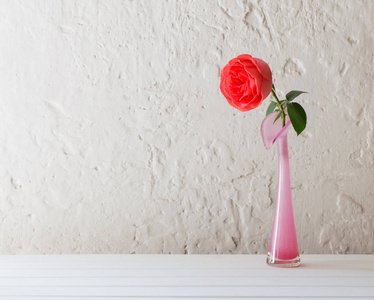 在旧的白色背景上的花瓶中的玫瑰